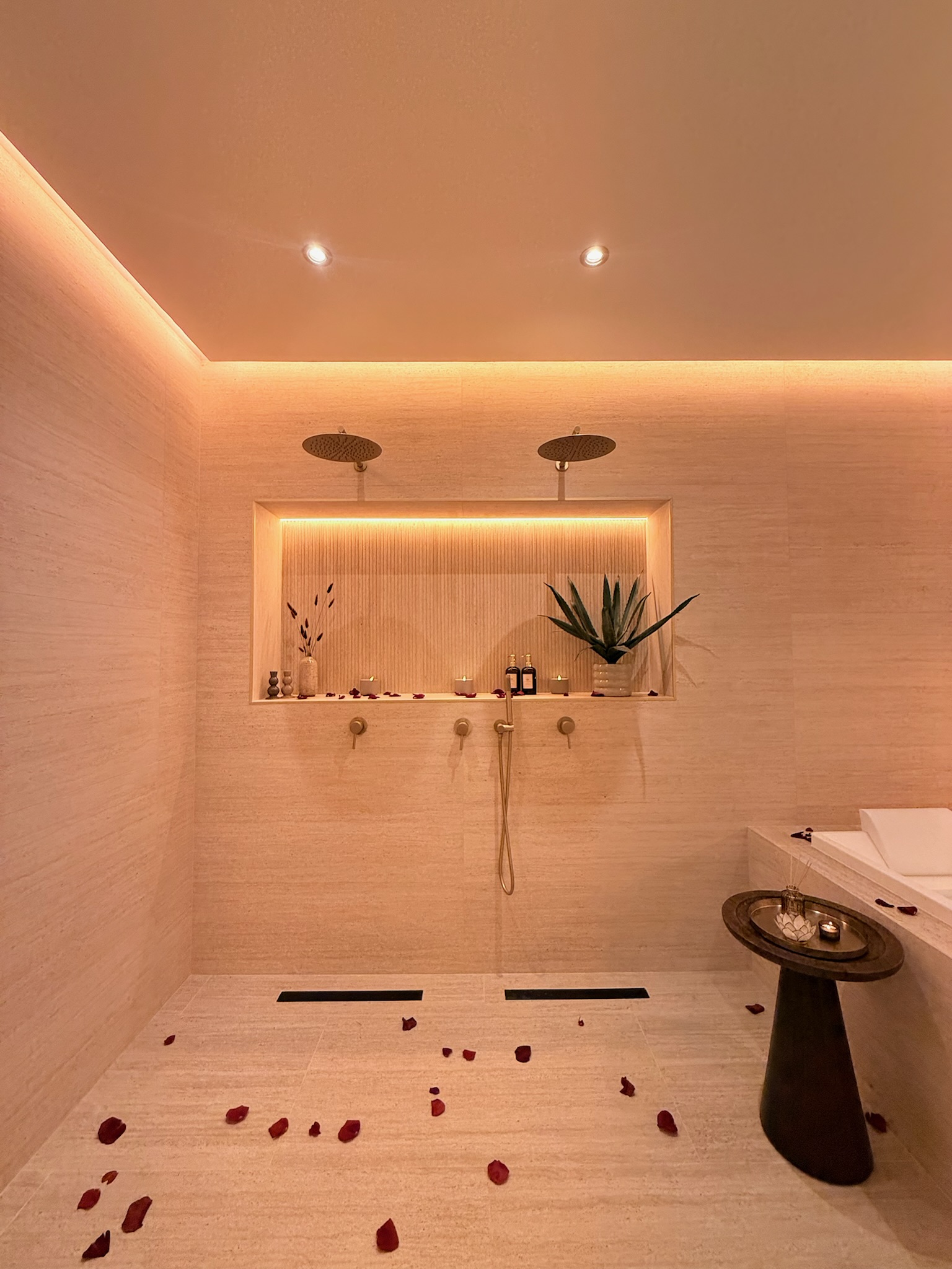 Douche double à deux têtes de pluie et niche rétroéclairée — Maison Nina N°5