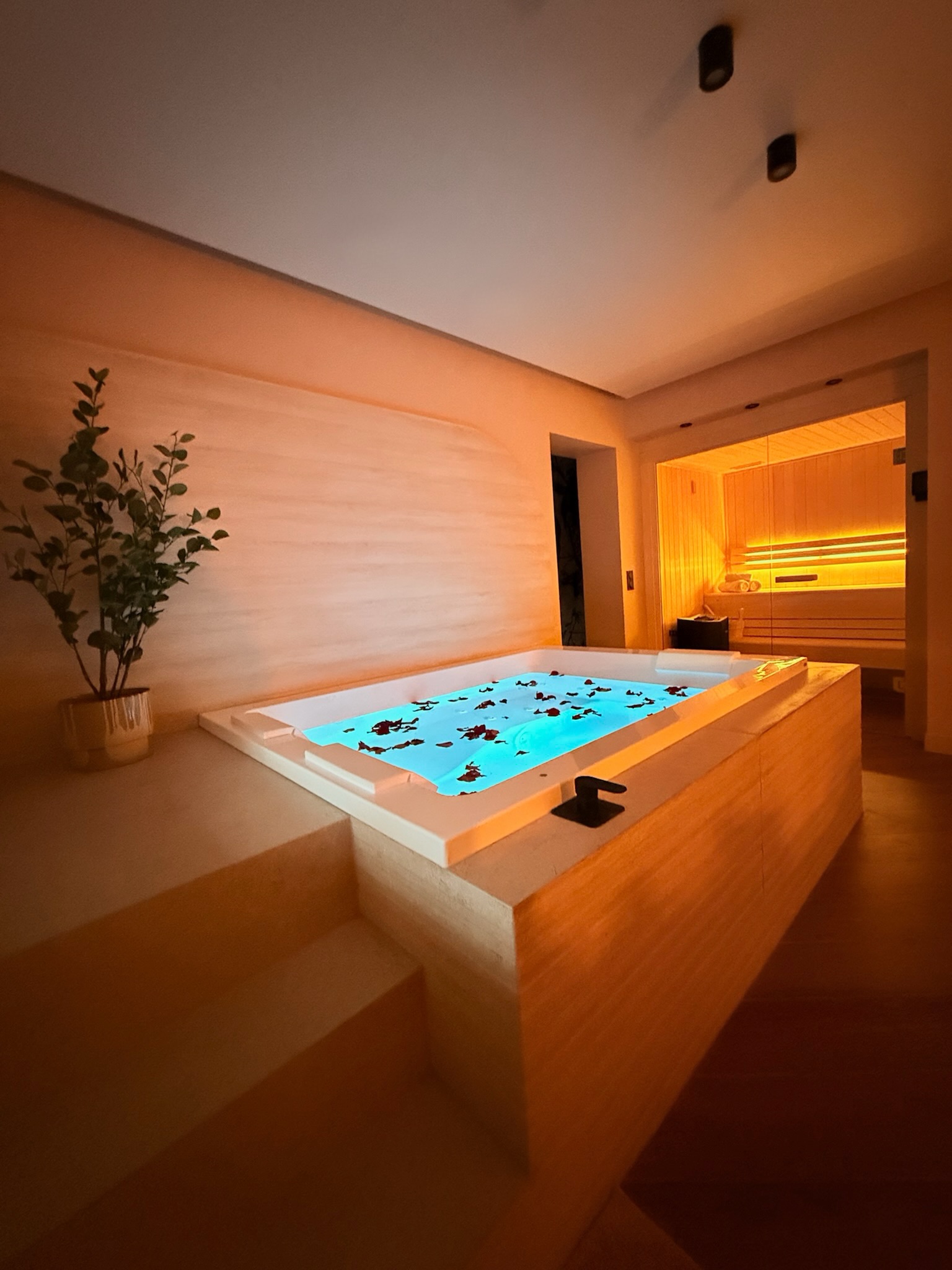 Balnéo Jacuzzi et sauna en ambiance nocturne — questions fréquentes Maison Nina